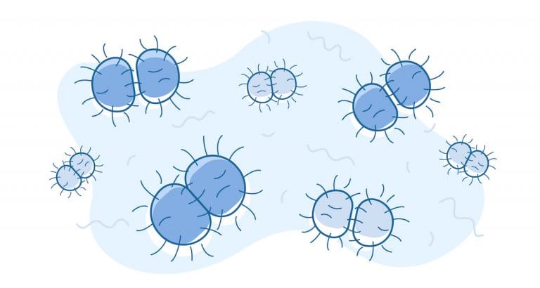 Bacterial STDs | Priority STD Testing